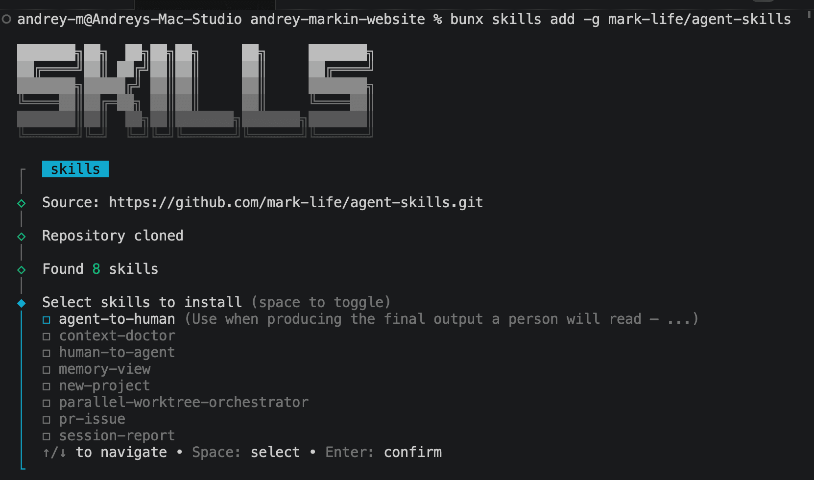 Agent Skills